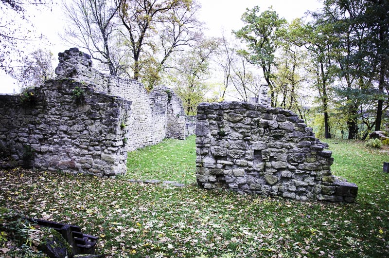3D Bogenparcours der Camburger Bogenschützen 79-bogenschiessen I A 120 November 16 2-bogenschiessen