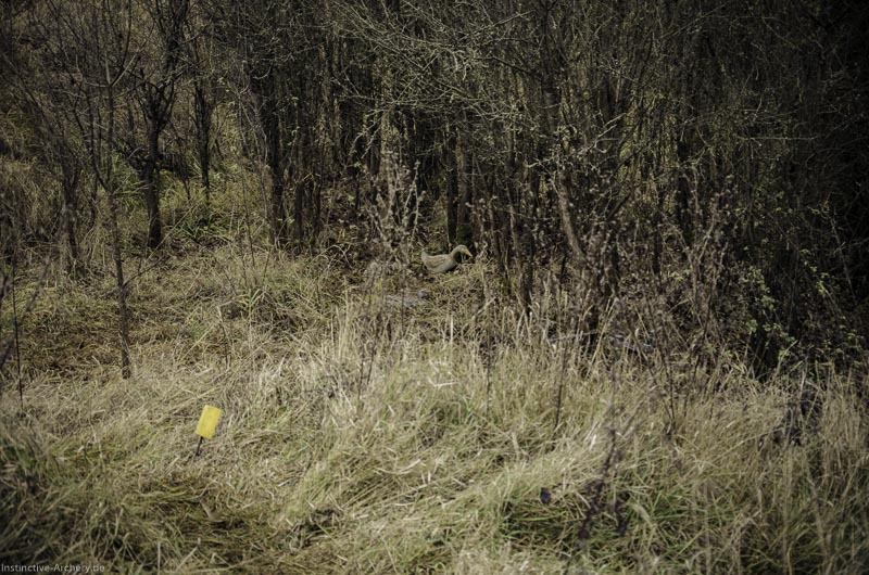 12. Ummerstadter Winterrunde - 1. Turnier 121-bogenschiessen I A 121 November 16 2 1-bogenschiessen