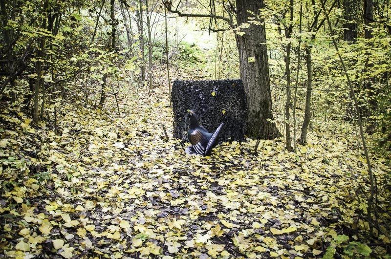 3D Bogenparcours der Camburger Bogenschützen 80-bogenschiessen I A 121 November 16 2-bogenschiessen