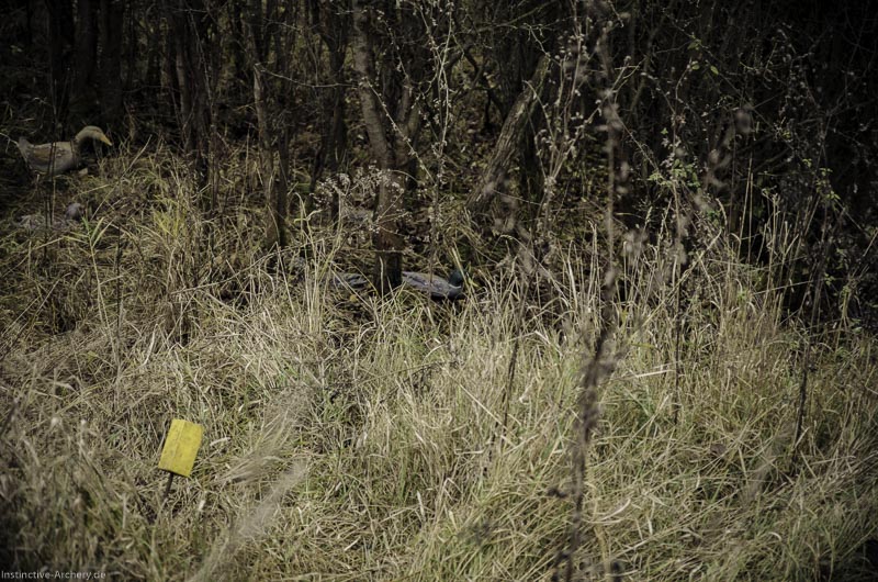 12. Ummerstadter Winterrunde - 1. Turnier 122-bogenschiessen I A 122 November 16 2 1-bogenschiessen