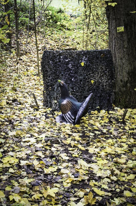 3D Bogenparcours der Camburger Bogenschützen 81-bogenschiessen I A 122 November 16 2-bogenschiessen