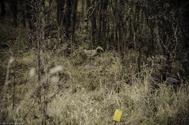 12. Ummerstadter Winterrunde - 1. Turnier 123-bogenschiessen I A 123 November 16 2 1-bogenschiessen