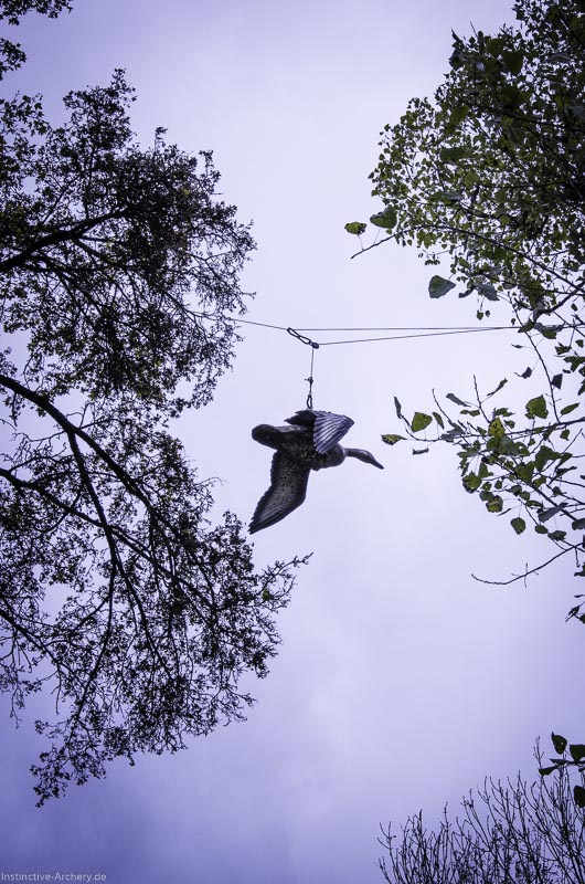 3D Bogenparcours der Camburger Bogenschützen 82-bogenschiessen I A 123 November 16 2-bogenschiessen