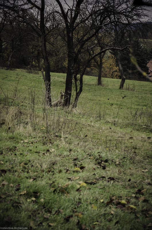 12. Ummerstadter Winterrunde - 1. Turnier 133-bogenschiessen I A 133 November 16 2 1-bogenschiessen