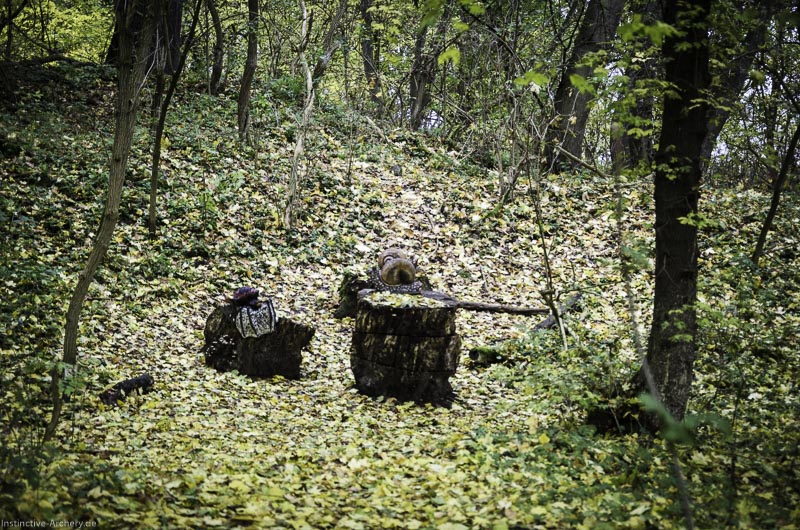 3D Bogenparcours der Camburger Bogenschützen 91-bogenschiessen I A 135 November 16 2-bogenschiessen