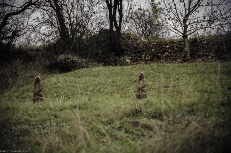 12. Ummerstadter Winterrunde - 1. Turnier 136-bogenschiessen I A 136 November 16 2 1-bogenschiessen
