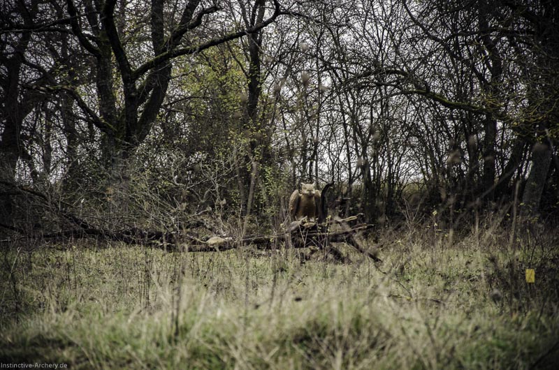 12. Ummerstadter Winterrunde - 1. Turnier 138-bogenschiessen I A 138 November 16 2 1-bogenschiessen