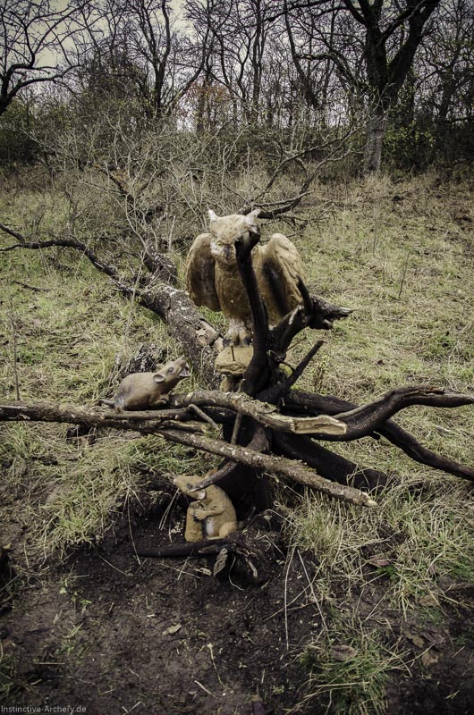 12. Ummerstadter Winterrunde - 1. Turnier 140-bogenschiessen I A 140 November 16 2 1-bogenschiessen