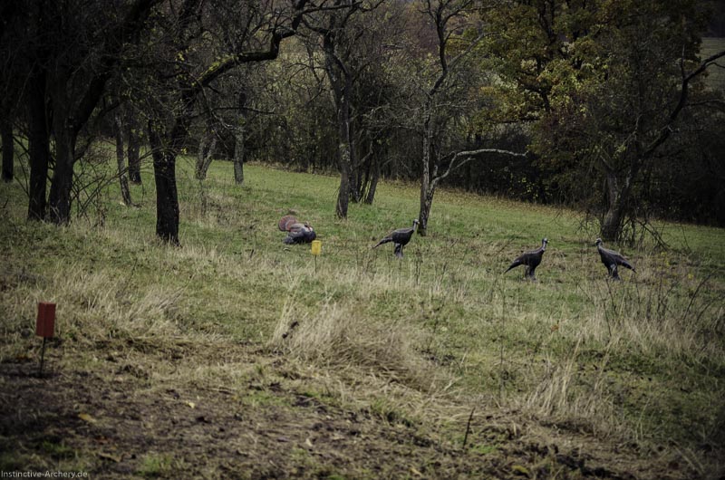 12. Ummerstadter Winterrunde - 1. Turnier 141-bogenschiessen I A 141 November 16 2 1-bogenschiessen