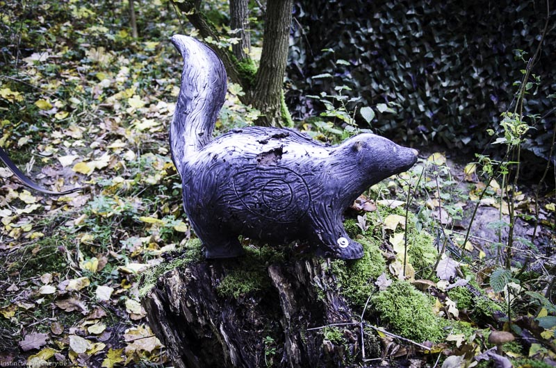 3D Bogenparcours der Camburger Bogenschützen 99-bogenschiessen I A 143 November 16 2-bogenschiessen