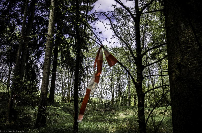 3D Bogenparcours Neuhaus - Bogenpfad am Rennsteig 15-bogenschiessen I A 015 Mai 17 2545-bogenschiessen