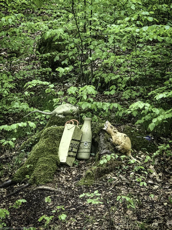 I A 021 Mai 17 9469-bogenschiessen
