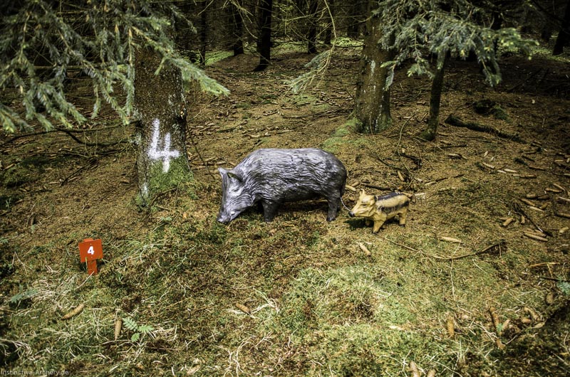 3D Bogenparcours Neuhaus - Bogenpfad am Rennsteig 23-bogenschiessen I A 023 Mai 17 2564-bogenschiessen