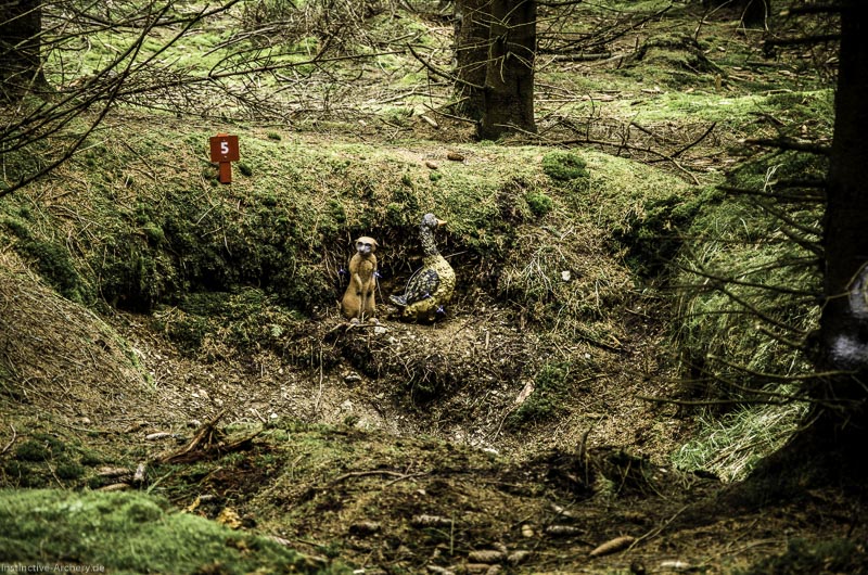 3D Bogenparcours Neuhaus - Bogenpfad am Rennsteig 25-bogenschiessen I A 025 Mai 17 2568-bogenschiessen