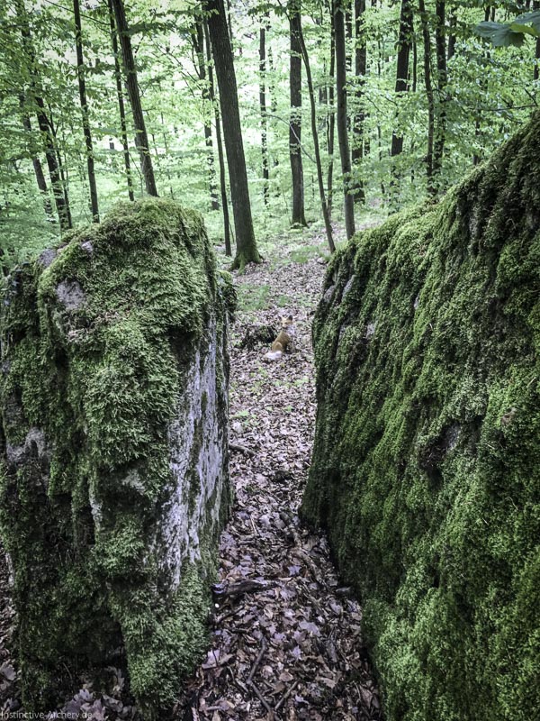I A 029 Mai 17 9479-bogenschiessen