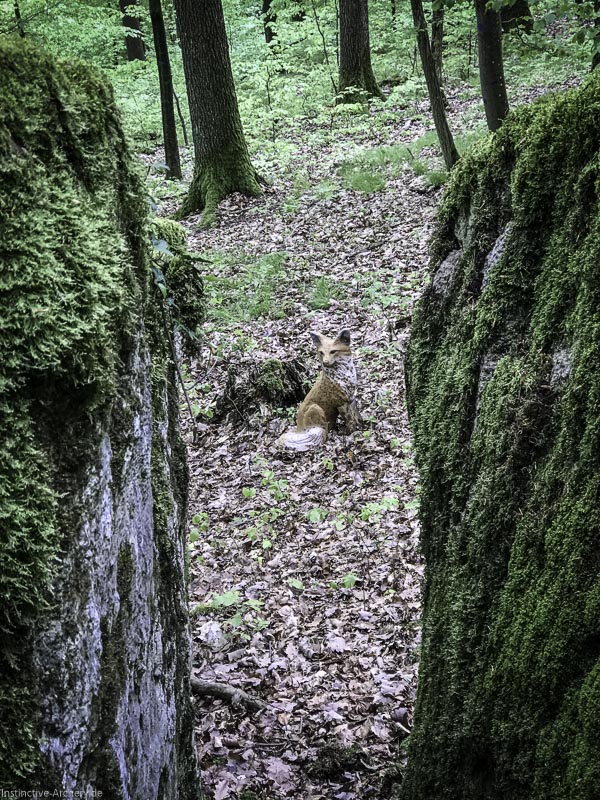 I A 030 Mai 17 9480-bogenschiessen