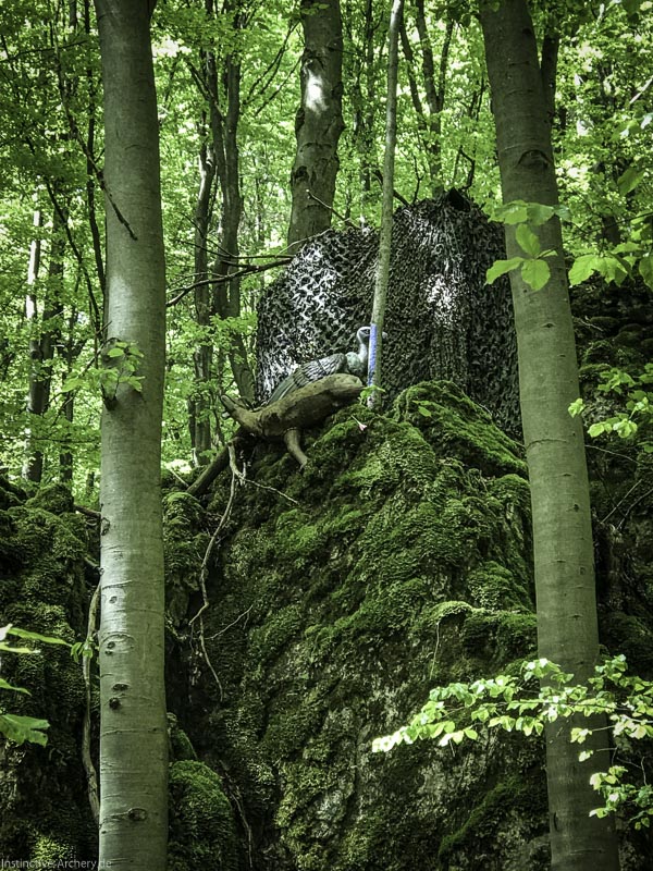 I A 035 Mai 17 9489-bogenschiessen
