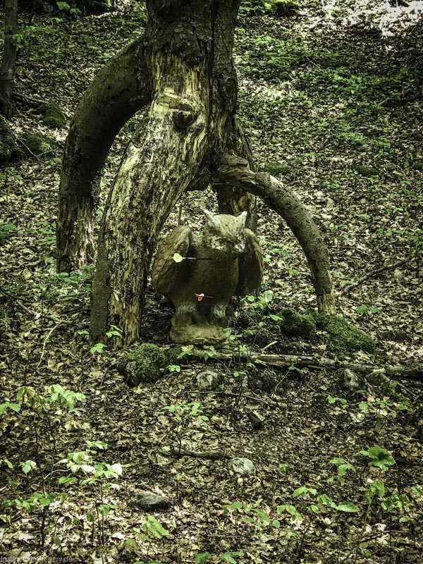 I A 044 Mai 17 9499-bogenschiessen