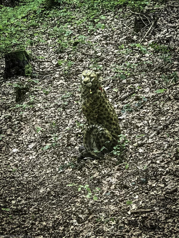 I A 046 Mai 17 9502-bogenschiessen