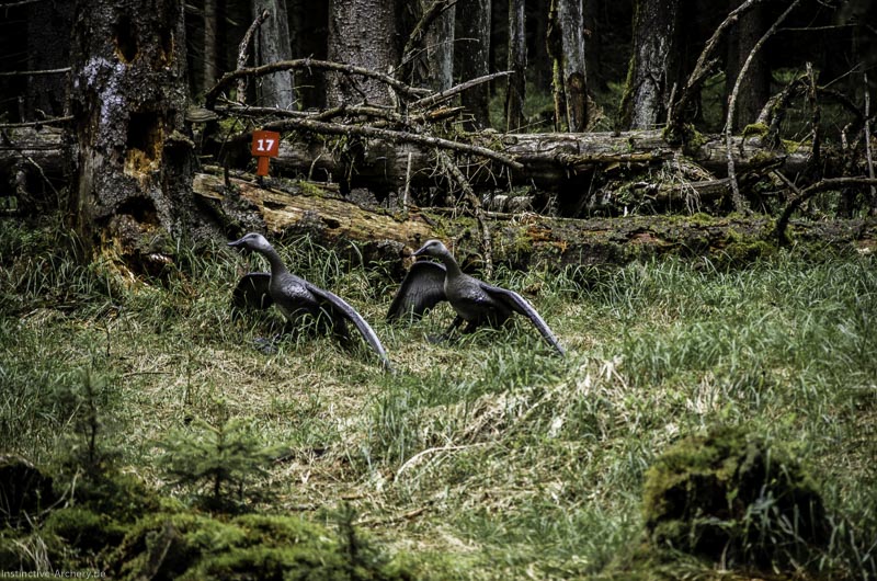 3D Bogenparcours Neuhaus - Bogenpfad am Rennsteig 48-bogenschiessen I A 048 Mai 17 2612-bogenschiessen
