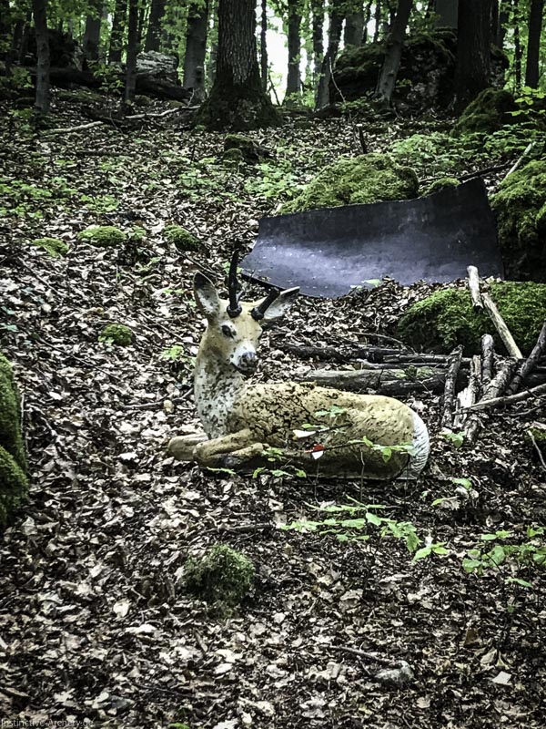 I A 052 Mai 17 9509-bogenschiessen