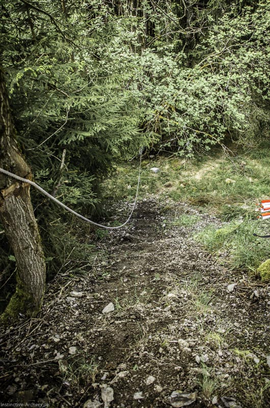 3D Bogenparcours Neuhaus - Bogenpfad am Rennsteig 62-bogenschiessen I A 062 Mai 17 2646-bogenschiessen