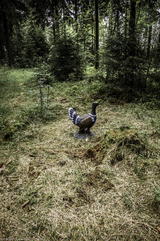 3D Bogenparcours Neuhaus - Bogenpfad am Rennsteig 70-bogenschiessen I A 070 Mai 17 2655-bogenschiessen