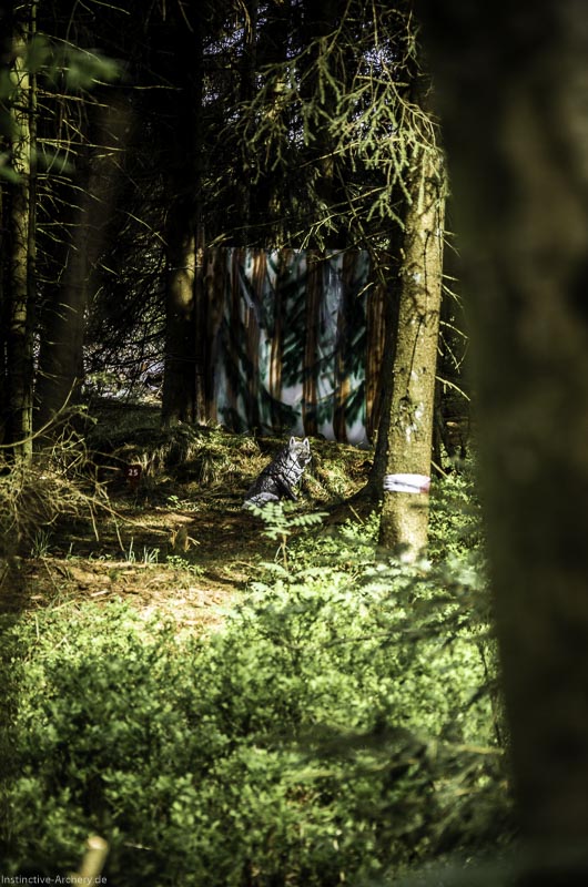 3D Bogenparcours Neuhaus - Bogenpfad am Rennsteig 71-bogenschiessen I A 071 Mai 17 2657-bogenschiessen