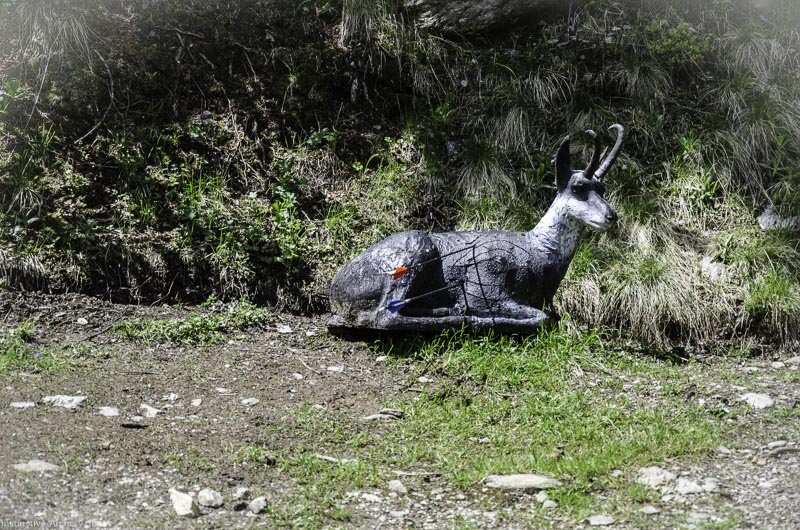 I A 021 Juni 17 2723-bogenschiessen