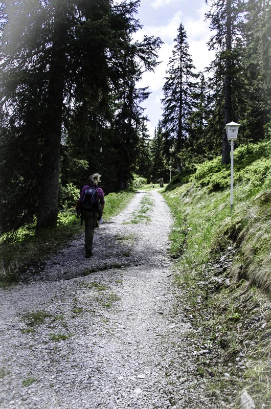 I A 022 Juni 17 2724-bogenschiessen