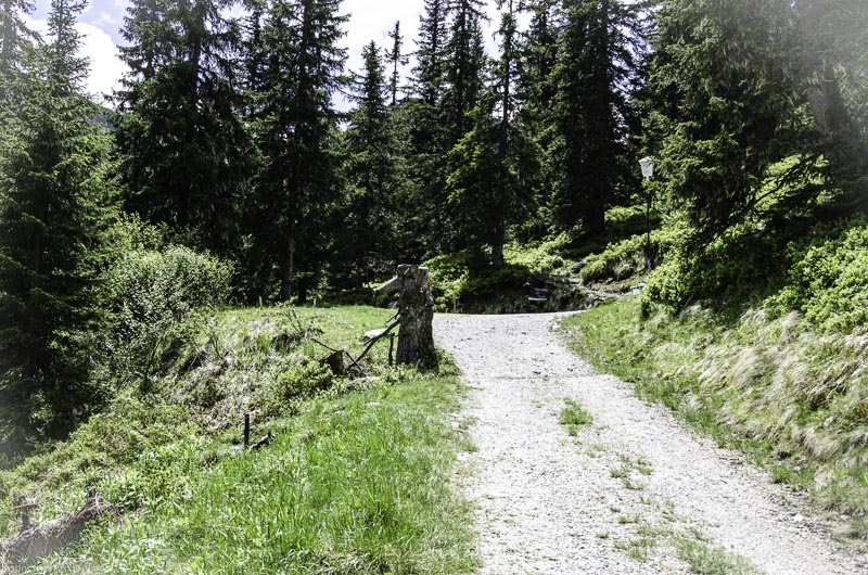 I A 023 Juni 17 2725-bogenschiessen