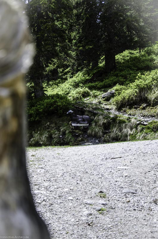 I A 028 Juni 17 2733-bogenschiessen