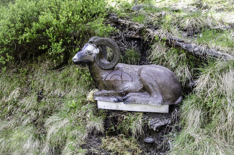 I A 029 Juni 17 2734-bogenschiessen