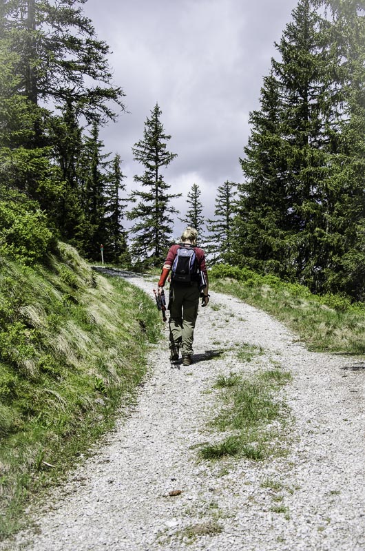 I A 030 Juni 17 2735-bogenschiessen