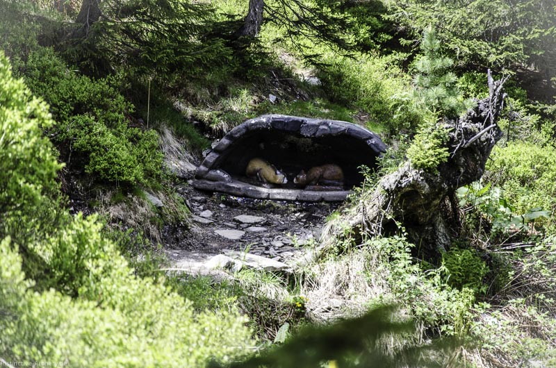 I A 031 Juni 17 2737-bogenschiessen