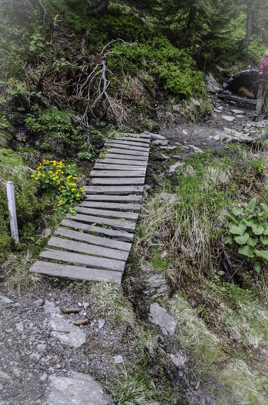 I A 034 Juni 17 2747-bogenschiessen