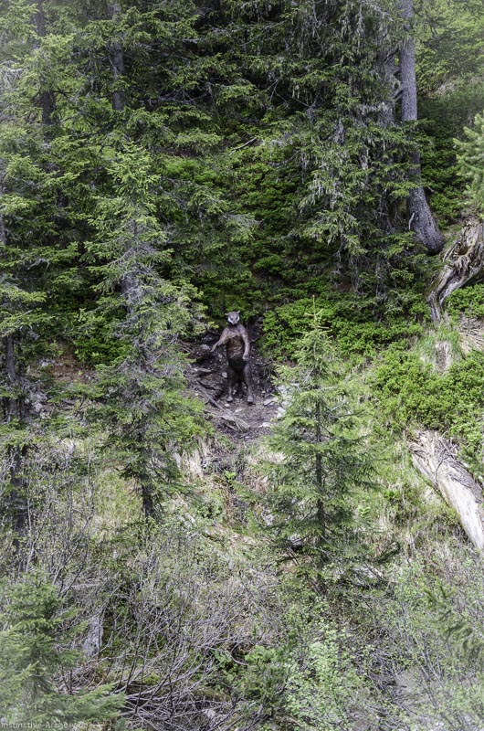 I A 036 Juni 17 2754-bogenschiessen