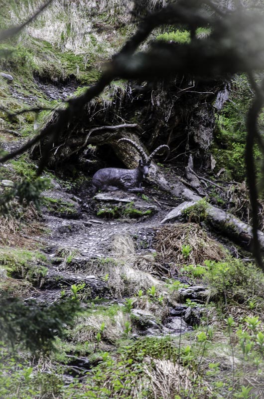 I A 045 Juni 17 2762-bogenschiessen