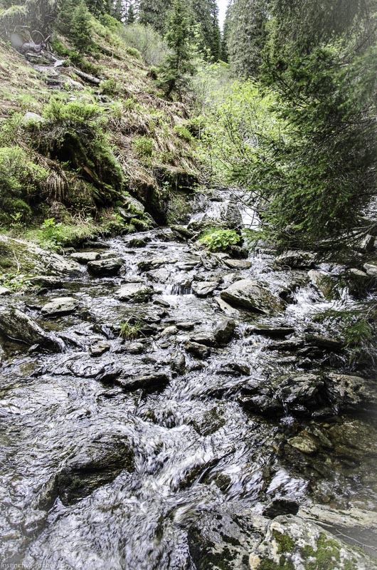 I A 046 Juni 17 2765-bogenschiessen