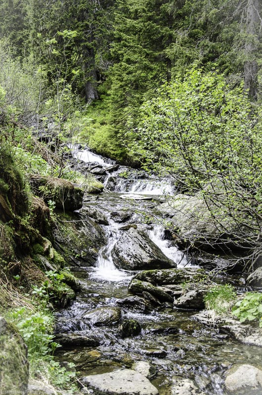 I A 047 Juni 17 2766-bogenschiessen