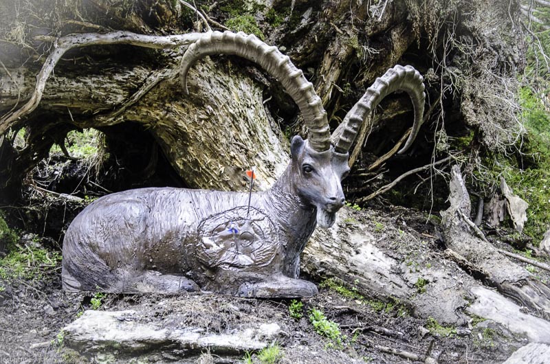 I A 048 Juni 17 2768-bogenschiessen