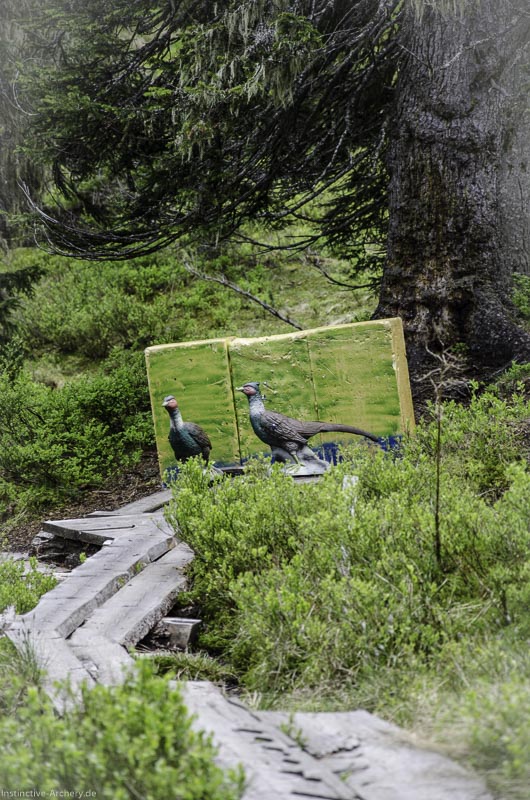 I A 050 Juni 17 2772-bogenschiessen