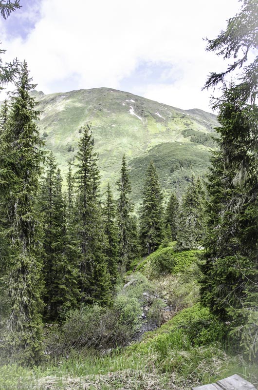 I A 051 Juni 17 2774-bogenschiessen