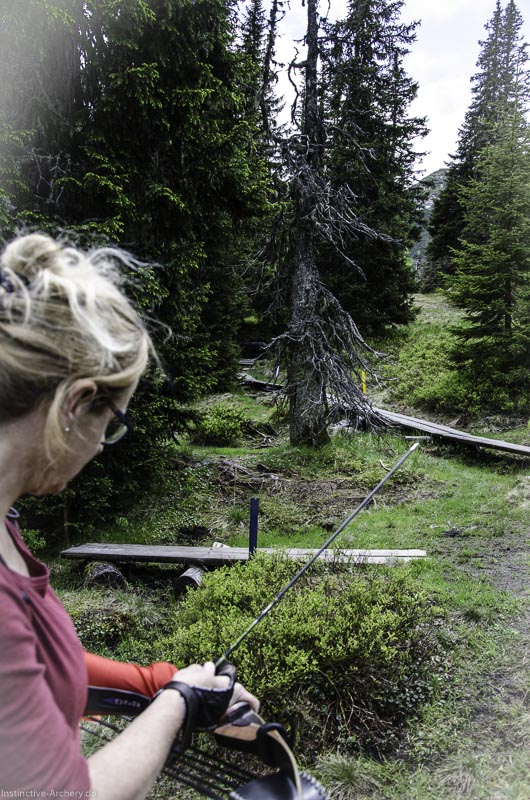 I A 055 Juni 17 2780-bogenschiessen