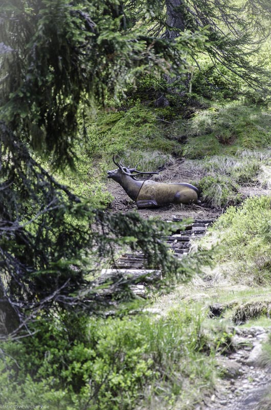 I A 062 Juni 17 2797-bogenschiessen