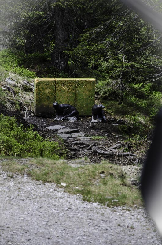 I A 068 Juni 17 2805-bogenschiessen