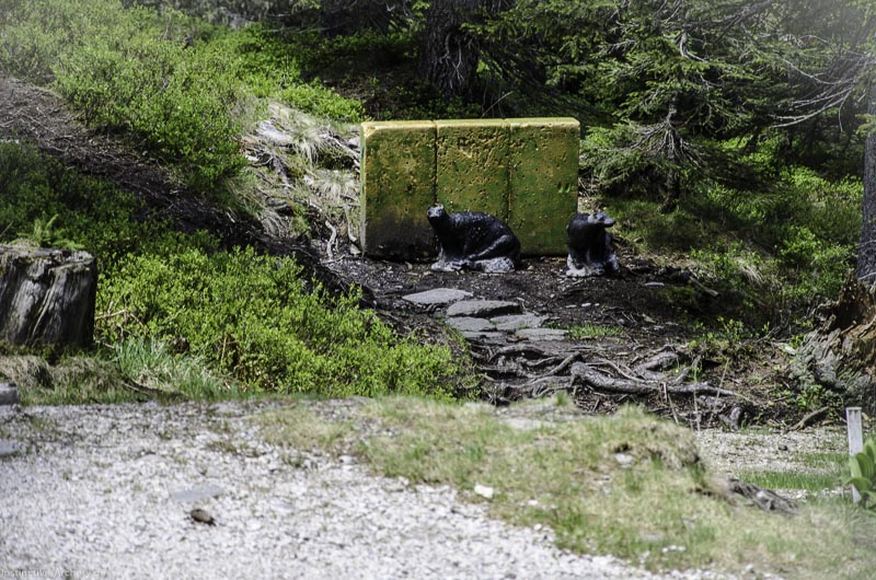 I A 069 Juni 17 2806-bogenschiessen