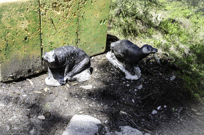 I A 071 Juni 17 2812-bogenschiessen