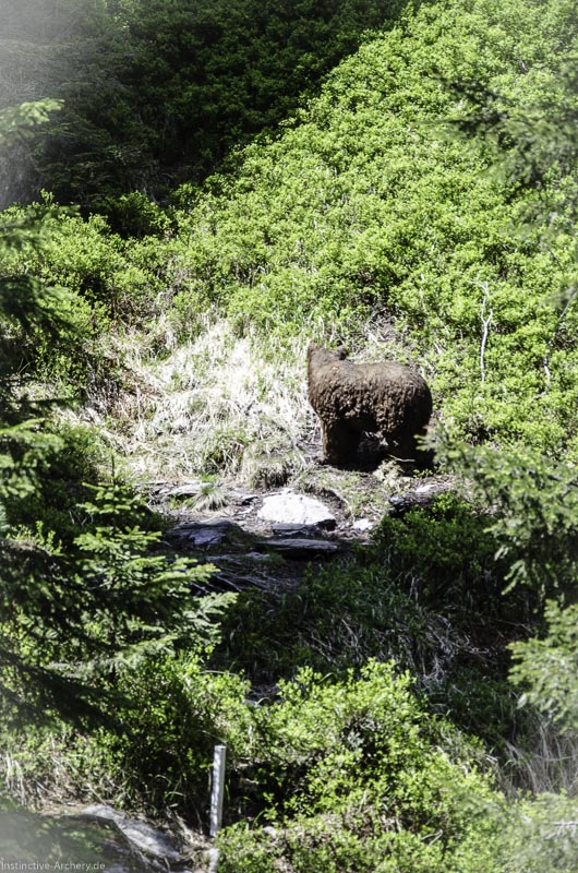 I A 074 Juni 17 2821-bogenschiessen