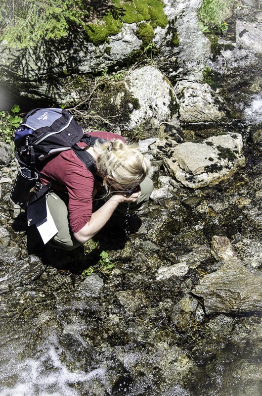 I A 077 Juni 17 2826-bogenschiessen